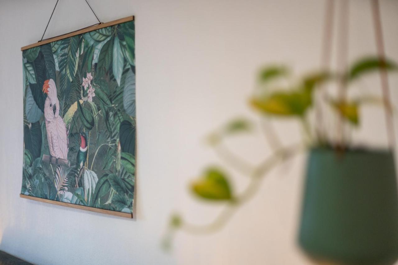 Kakadu - Zentral - Workplace - Gemeinschaftsterrasse, Snes Frankenberg an der Eder Extérieur photo